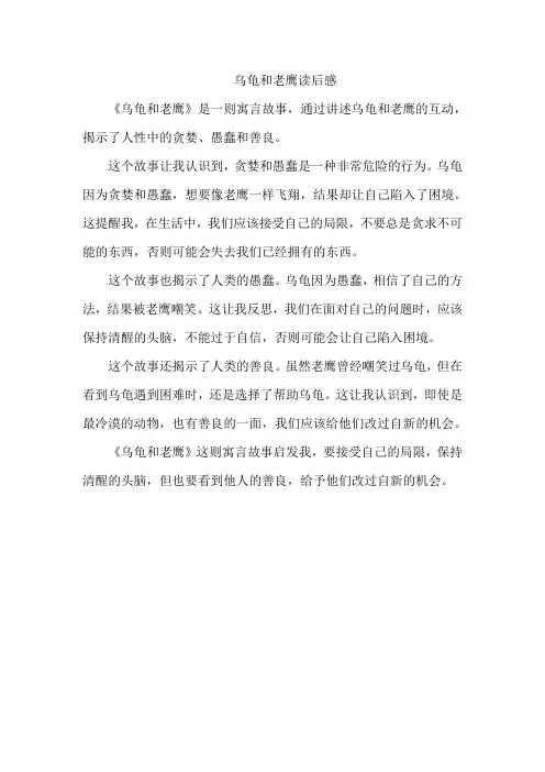 乌龟和老鹰读后感