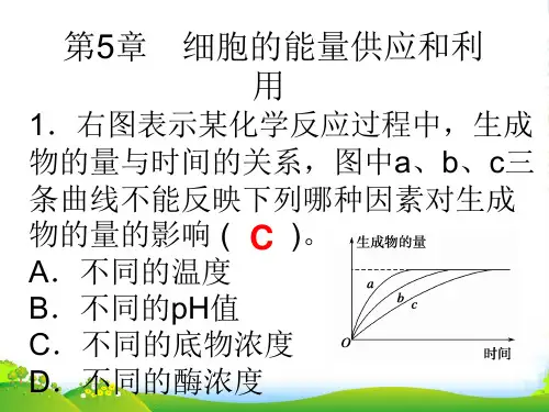 高一生物必修一教学课件：第5章细胞的能量供应和利用提升复习 (共8张PPT)