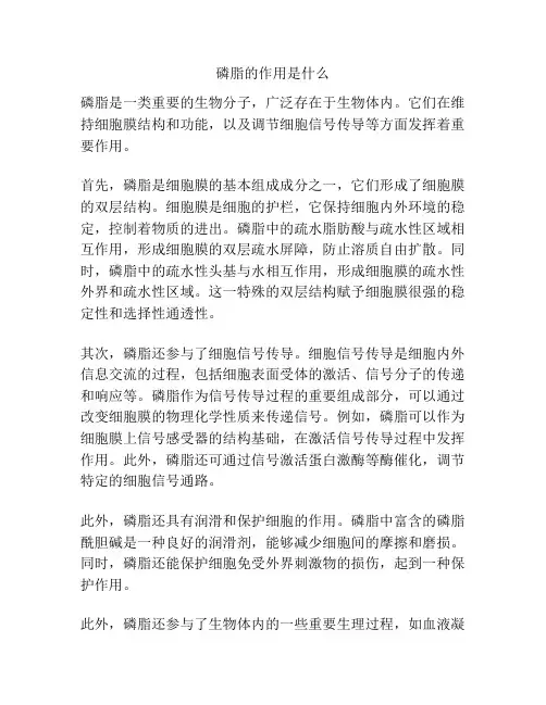 磷脂的作用是什么
