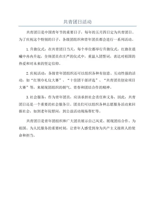 共青团日活动