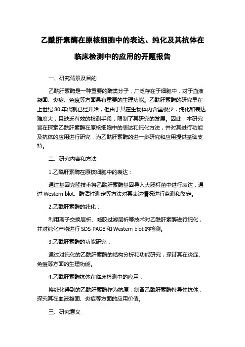 乙酰肝素酶在原核细胞中的表达、纯化及其抗体在临床检测中的应用的开题报告
