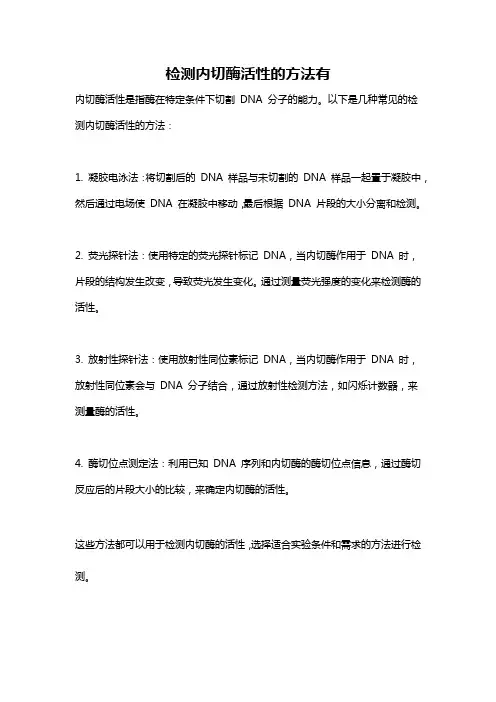 检测内切酶活性的方法有