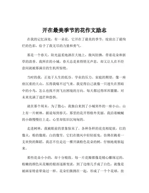开在最美季节的花作文励志