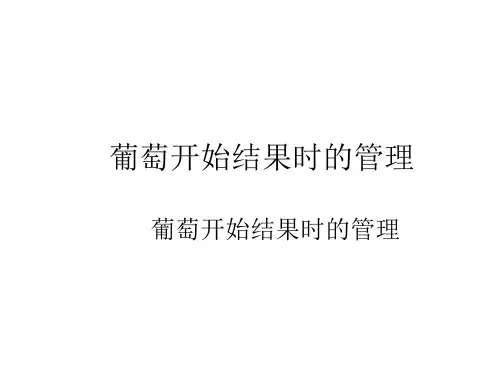 葡萄开始结果时的管理技巧