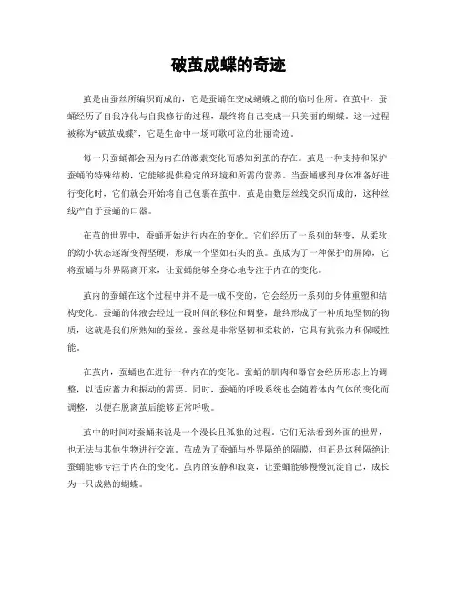 破茧成蝶的奇迹