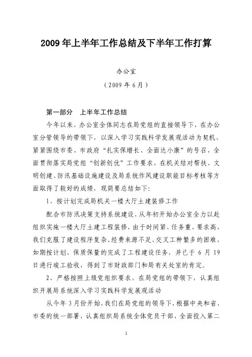 2009年上半年工作总结及下半年...