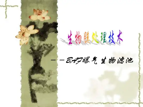 曝气生物滤池