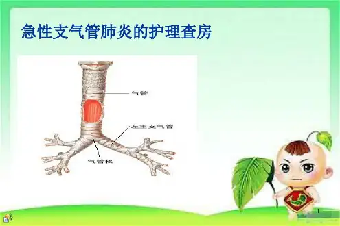小儿急性支气管炎的护理查房ppt课件(1)