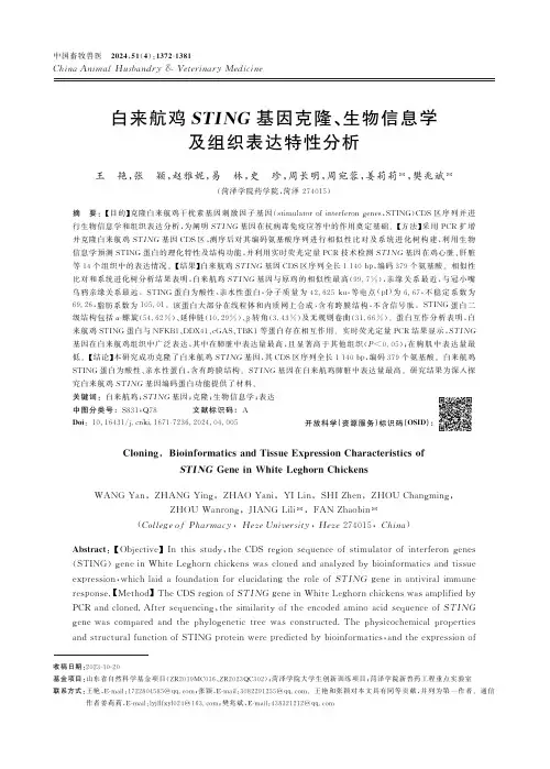白来航鸡STING基因克隆、生物信息学及组织表达特性分析