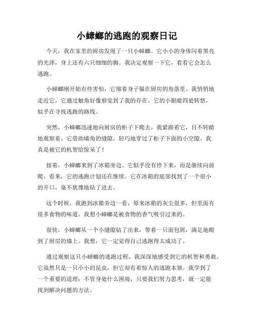 小学三年级作文小蟑螂的逃跑的观察日记