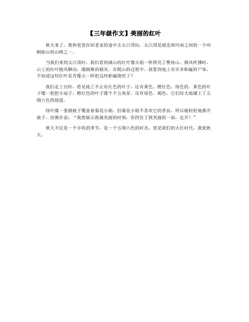 【三年级作文】美丽的红叶