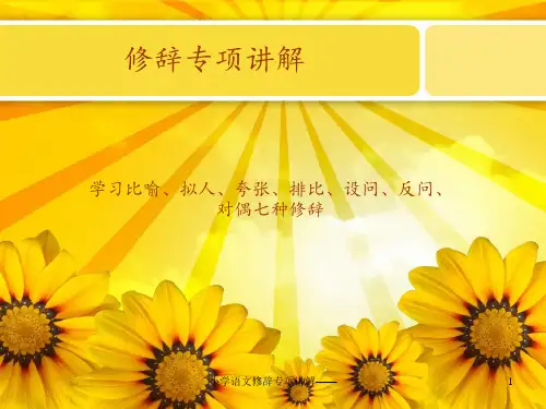 小学语文修辞专项讲解—— ppt课件