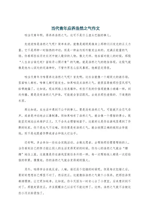当代青年应养浩然之气作文