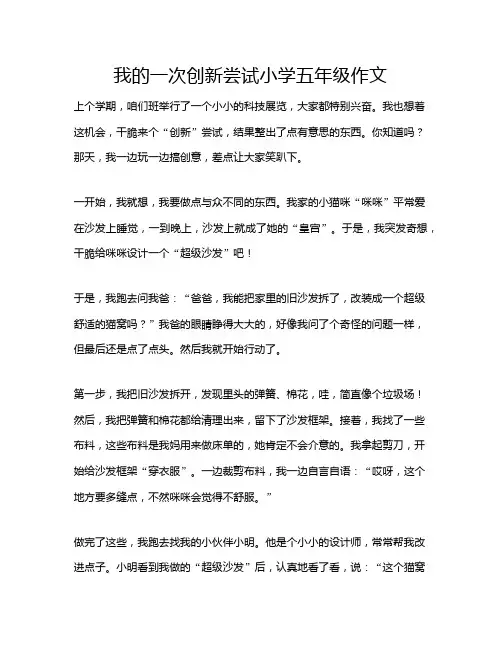我的一次创新尝试小学五年级作文