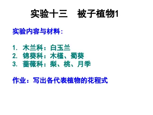 实验十三被子植物1
