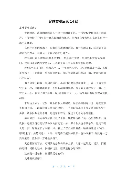 足球赛观后感14篇