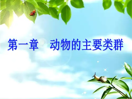 第一章 动物的主要类群 复习PPT