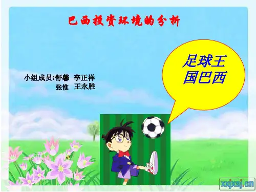 国际投资环境分析、巴西