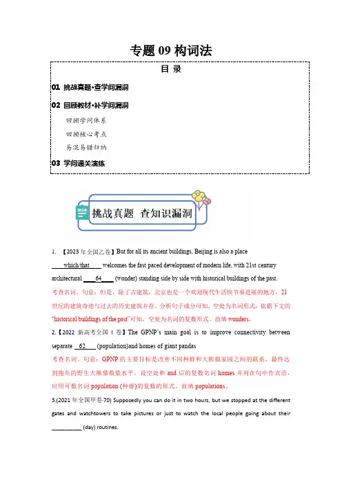 专题09 构词法(解析版)【查漏补缺】