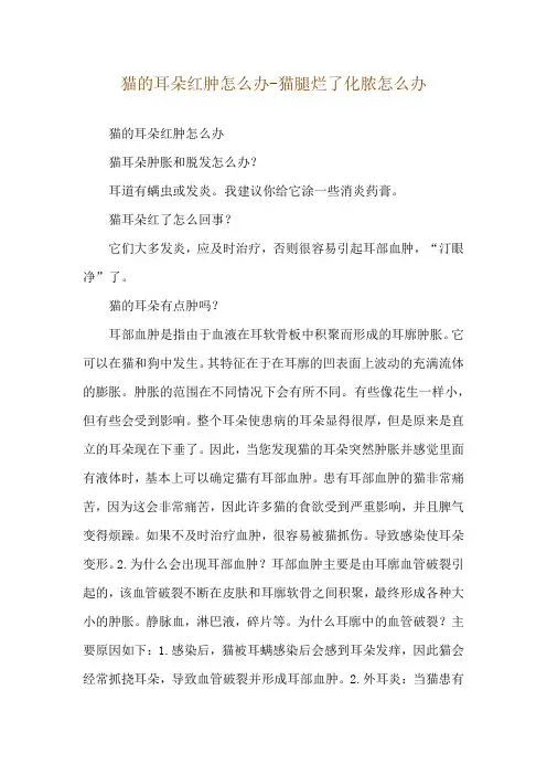 猫的耳朵红肿怎么办-猫腿烂了化脓怎么办