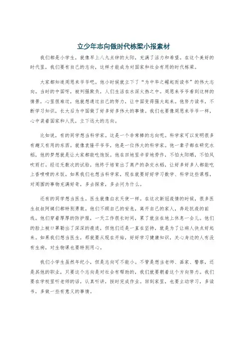 立少年志向做时代栋梁小报素材