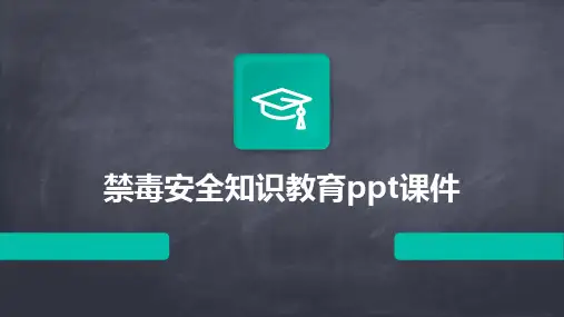 2024年禁毒安全知识教育ppt课件