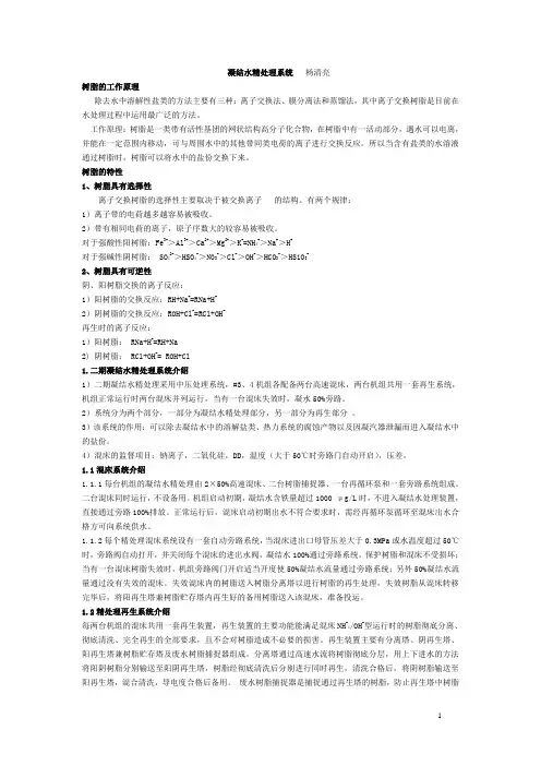 凝结水精处理讲课内容