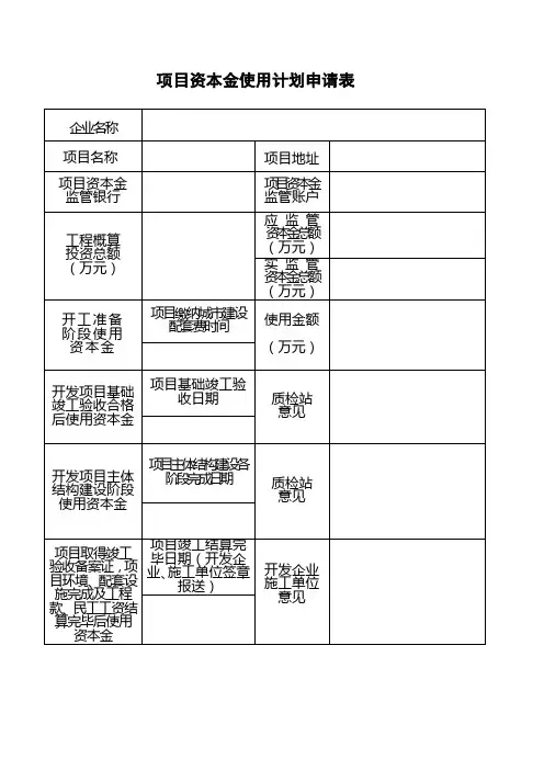 项目资本金使用计划申请表A1