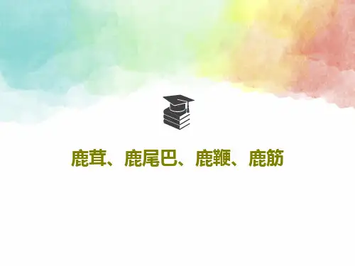 鹿茸、鹿尾巴、鹿鞭、鹿筋共48页