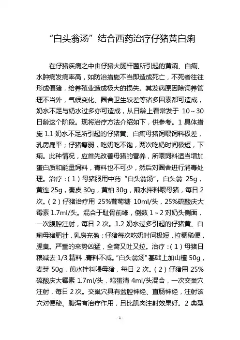 “白头翁汤”结合西药治疗仔猪黄白痢