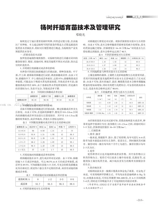 杨树扦插育苗技术及管理研究