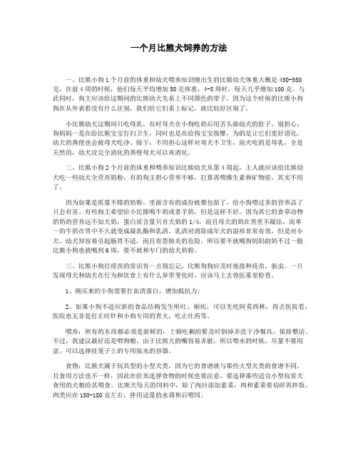 一个月比熊犬饲养的方法