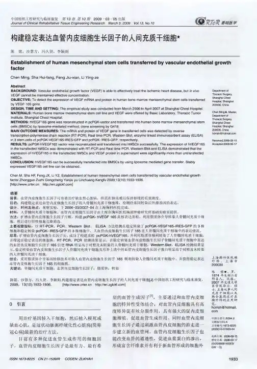 构建稳定表达血管内皮细胞生长因子的人间充质干细胞