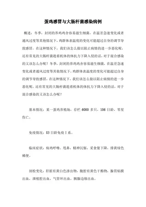 蛋鸡感冒与大肠杆菌感染病例.doc