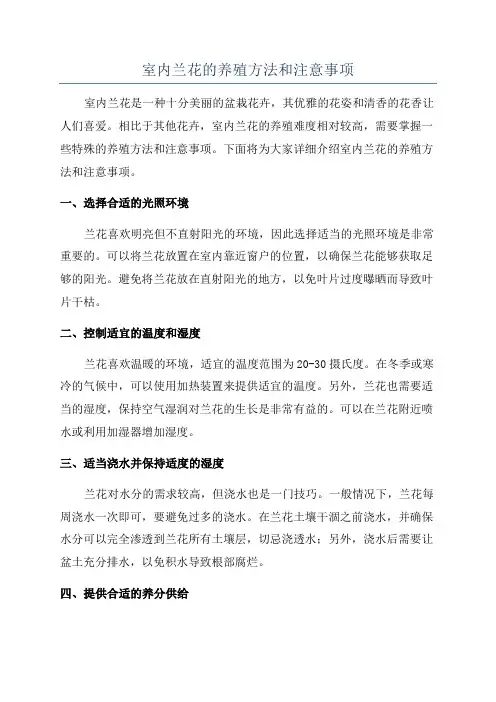 室内兰花的养殖方法和注意事项