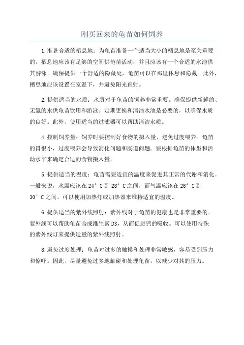 刚买回来的龟苗如何饲养