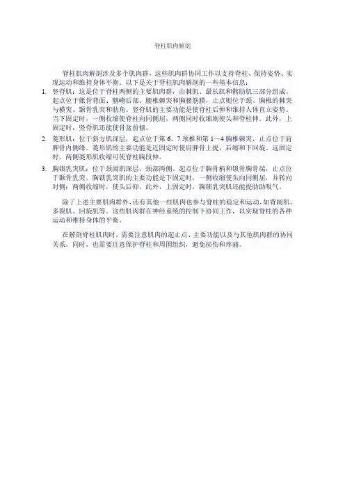 脊柱肌肉解剖
