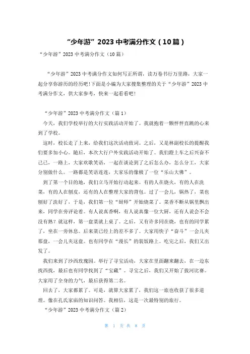 “少年游”2023中考满分作文(10篇)