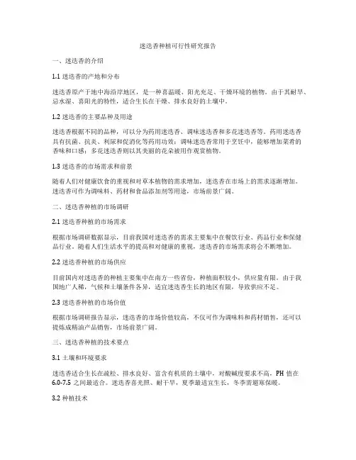 迷迭香种植可行性研究报告