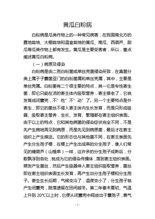 黄瓜白粉病