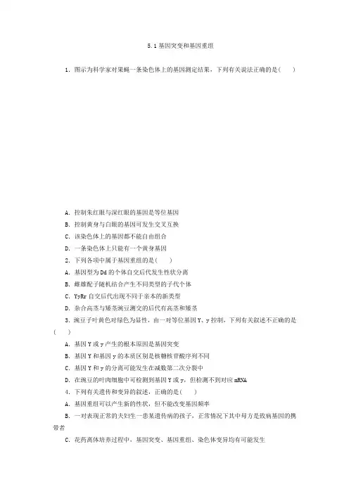 人教高中生物必修同步习题：基因突变和基因重组 含答案