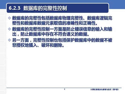 计算机系统安全原理与技术课件第6章(下)