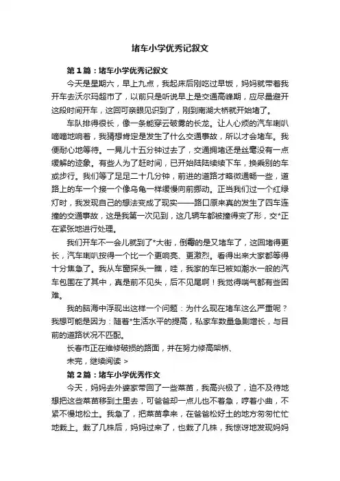 堵车小学优秀记叙文