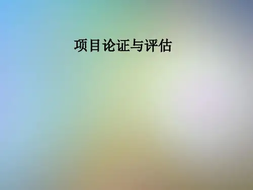 项目论证与评估