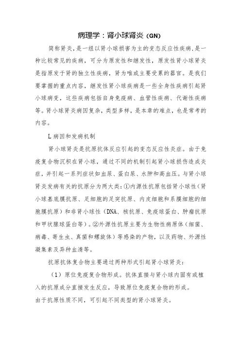病理学：肾小球肾炎