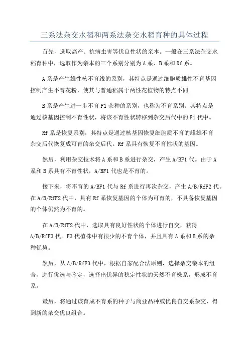 三系法杂交水稻和两系法杂交水稻育种的具体过程