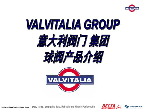Valvitalia球阀产品介绍-2006-现场演示版