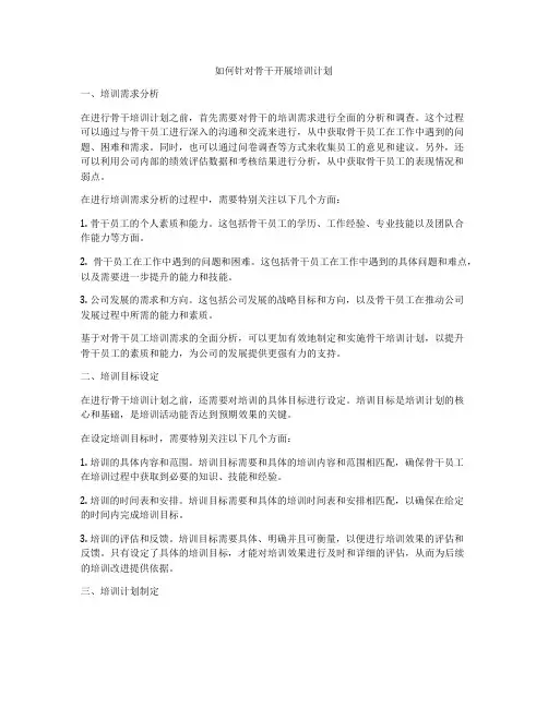 如何针对骨干开展培训计划
