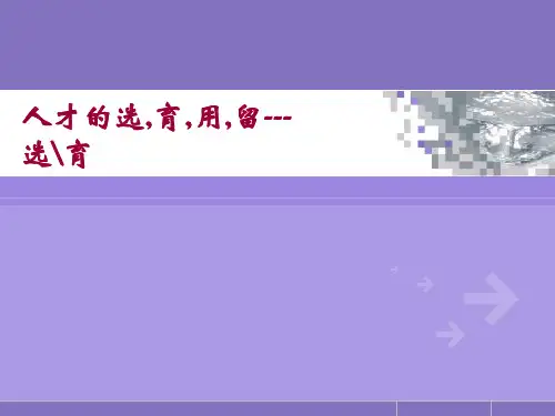 《人才的选用育留》(ppt文档)