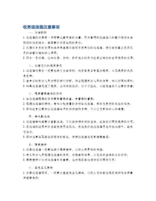 收养流浪猫注意事项